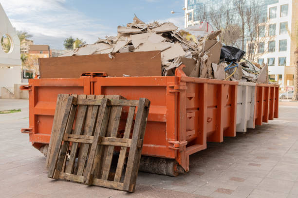 Best Junk Hauling Services  in Audubon, IA