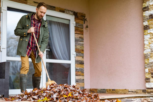 Best Trash Removal Near Me  in Audubon, IA